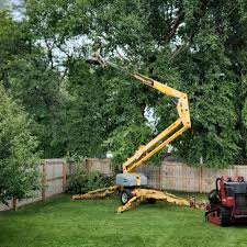 Best Lot and Land Clearing  in Marine, IL